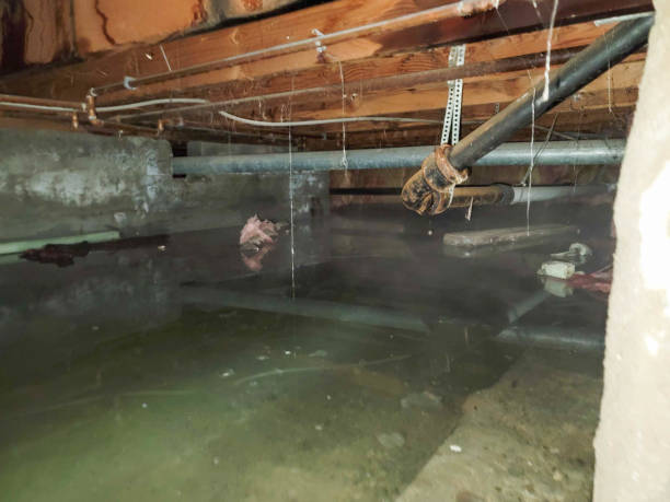 Best Sewage cleanup and water damage restoration  in Logan, IA