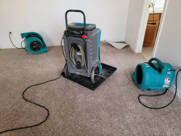 Best Local water damage restoration  in Logan, IA