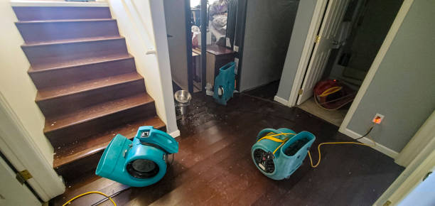 Best Flood damage cleanup  in Logan, IA