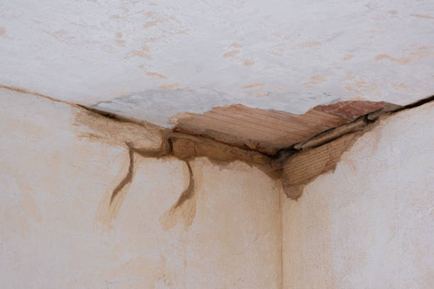Best Water damage restoration near me  in Logan, IA