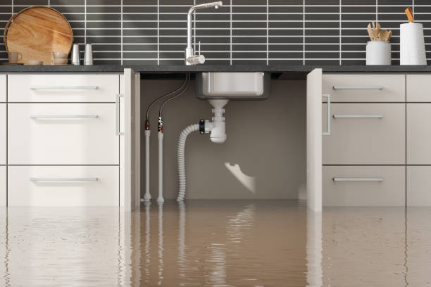Best Flood damage cleanup  in Logan, IA